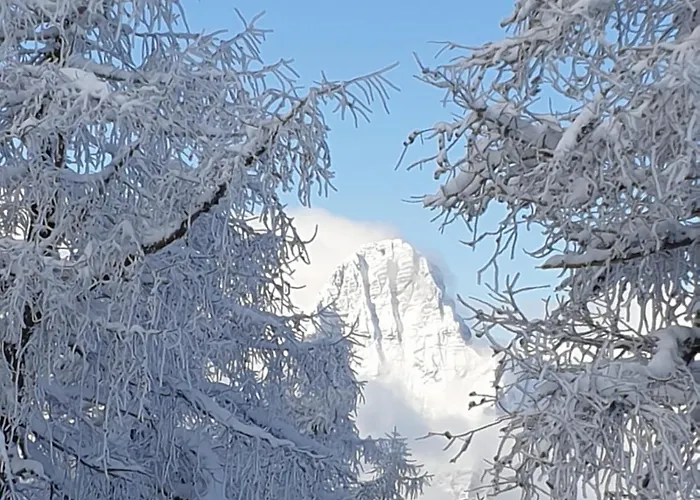 Aparthotel Hoess-alpin-lodge