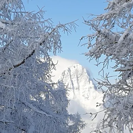 Aparthotel Höss-alpin-lodge